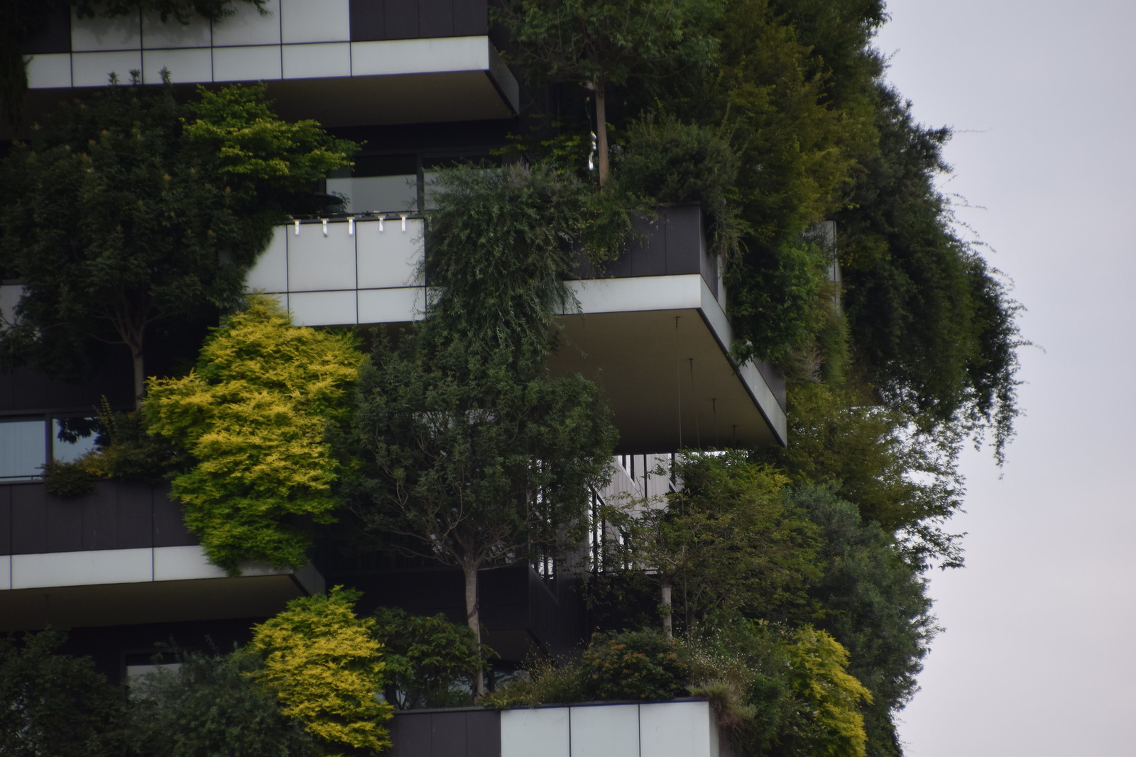 NoLo to Now: The Milan Neighbourhood Where Young Professionals Are Buying Before Prices Peak