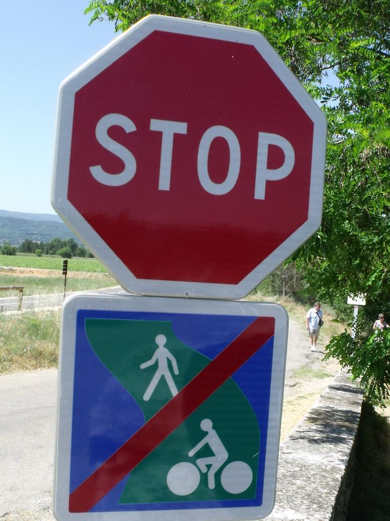 The Best Cycling Routes in Milan for Families and Beginners: Safety, Scenery and Community